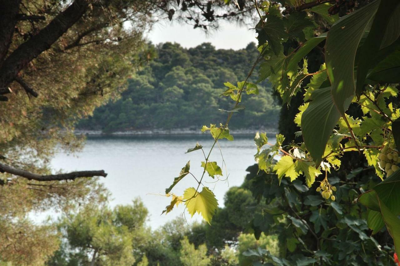 Luka Apartamento Mali Lošinj Exterior foto